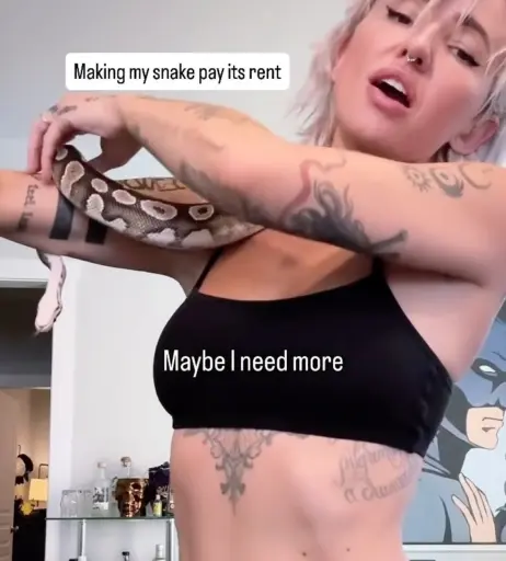 Image 11444021 from Lights Poxleitner