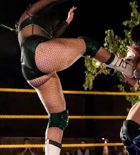 Image 11446119 from Women of Professional Wrestling