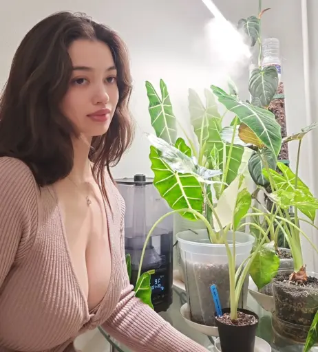 Image 11443751 from Qilin