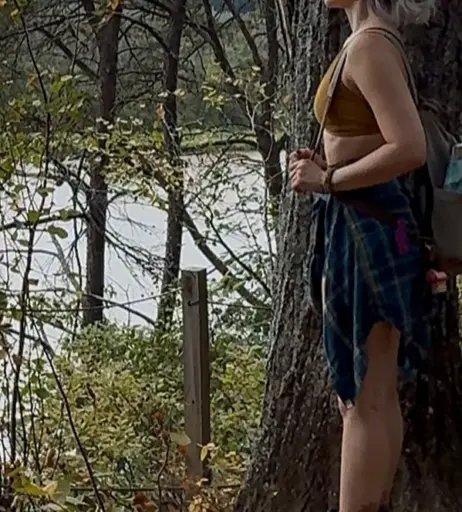 Image 11410792 from SeeCatPlay / SeeCatWander