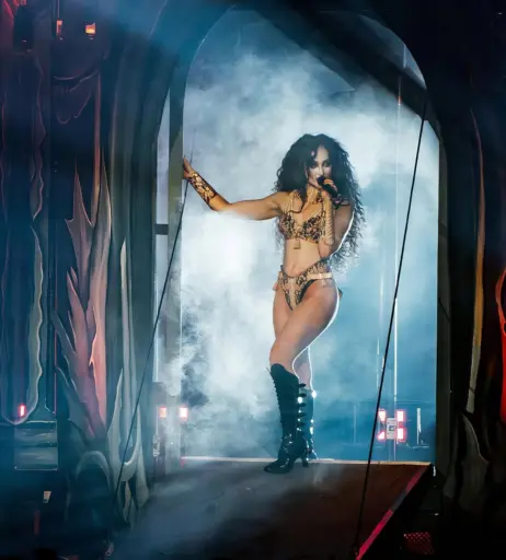 Image 11494452 from Chappell Roan