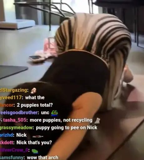 Image 11494013 from itskatchii