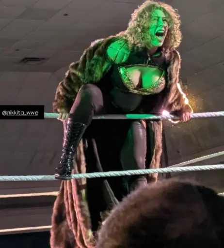 Image 11494305 from WWE Nikkita Lyons