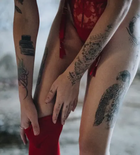 Image 11493242 from Yasmin_avrahami