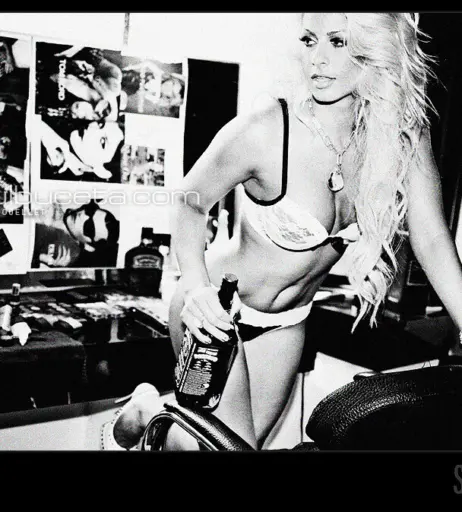 Image 11354695 from Maryse WWE