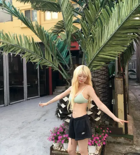 Image 11375844 from Sejinming 기무세딘