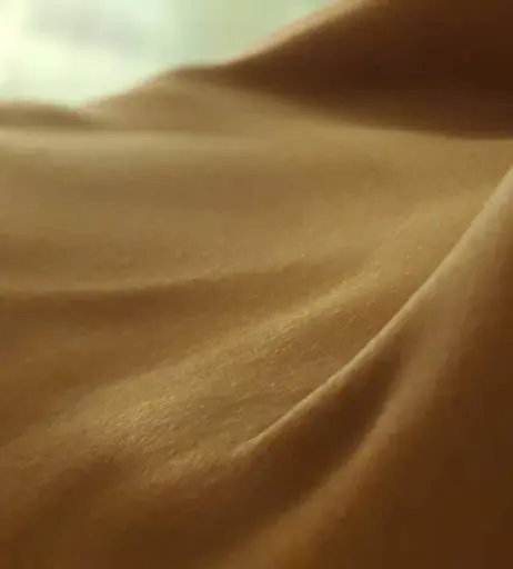 Image 129584 from la.phoenix.ksu