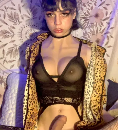 Image 12750188 from CD Bell