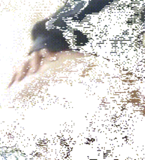 Image 12760193 from Letty/borntopiss/nicetogirls