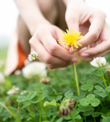 Image 12718114 from Yume Takeda | 竹田ゆめ | Mahiro Ichiki | 市来まひろ