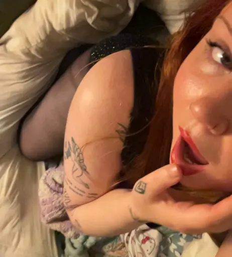 Image 12721606 from Taylor Hutchings