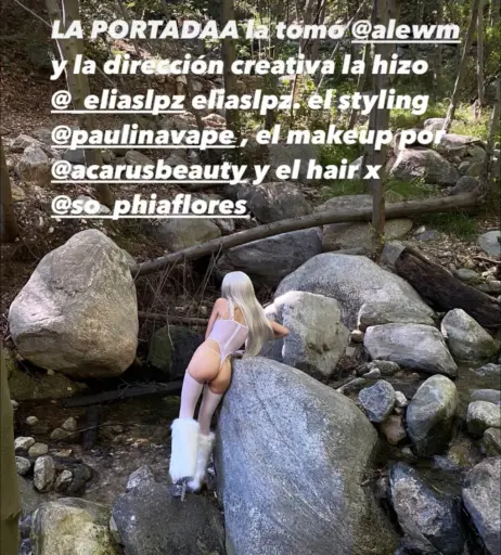 Image 12658770 from Loyal.Lobos - Andrea Silva