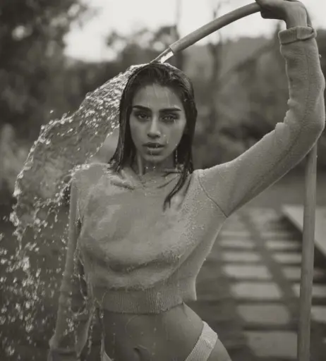 Image 12658143 from Pakhi Gadh | pakhigadh