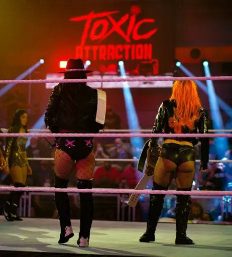 Image 12658399 from WWE GiGi Dolin / Priscilla Kelly