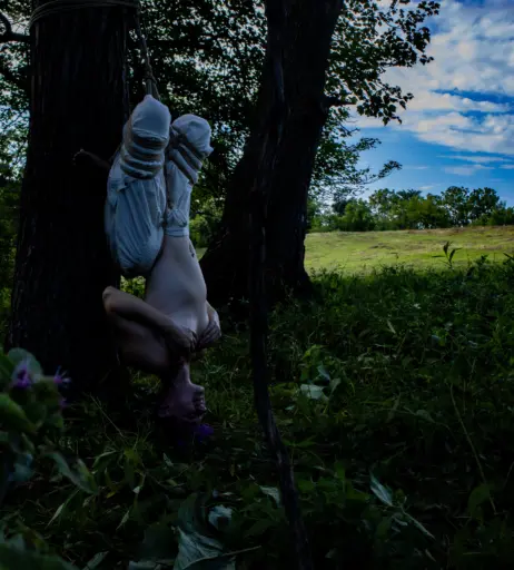 Image 12658332 from LumiRue