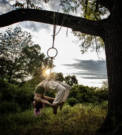 Image 12658338 from LumiRue