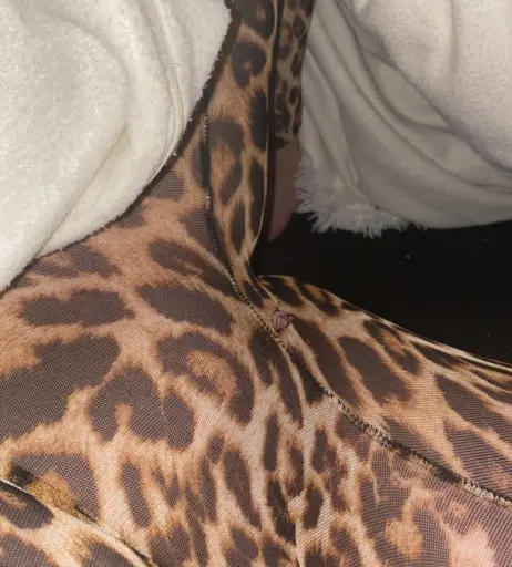 Image 12665502 from Melody Haase / melodyraabbit