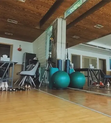 Image 12664989 from yoyoggae / yesyo / 요년_yobitch