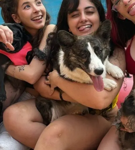 Image 12624421 from Yulla