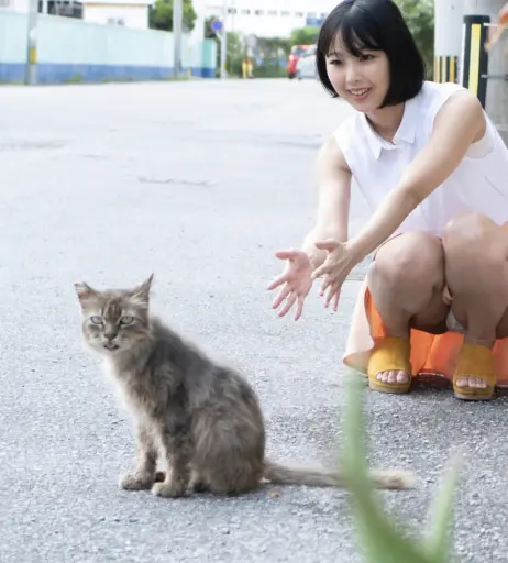 Image 12681131 from Yume Takeda | 竹田ゆめ | Mahiro Ichiki | 市来まひろ