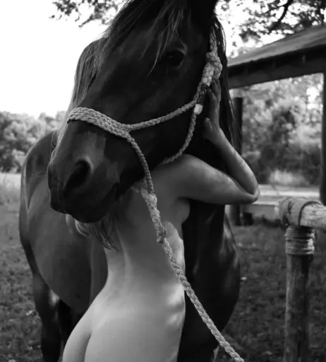 Image 12557961 from Cameron Clark