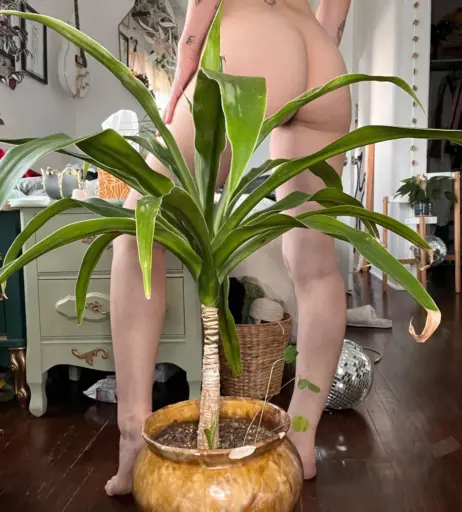 Image 12561403 from Serialcrusherravyn / @ravynstar