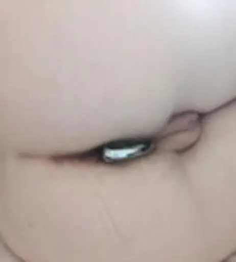 Image 12560275 from drivesyouin-sane