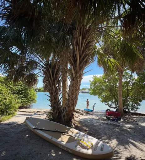 Image 12577846 from Livy Rothfeld