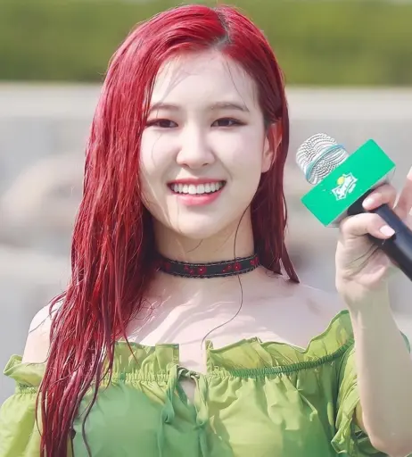 Image 12576408 from Rosé || Roseanne Park - BLΛƆKPIИK ( BLACKPINK )
