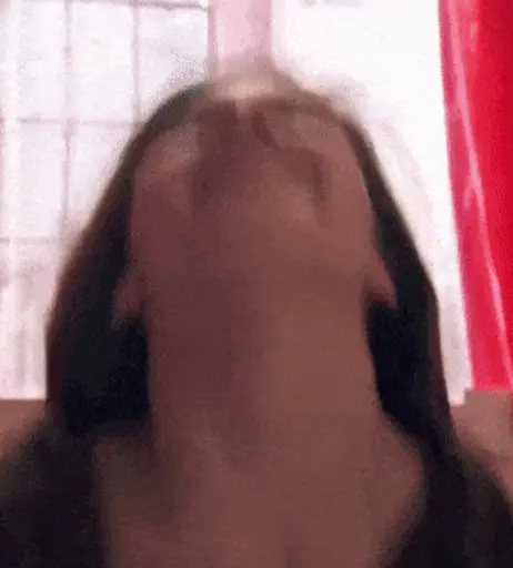 Image 12576464 from Holly Earl