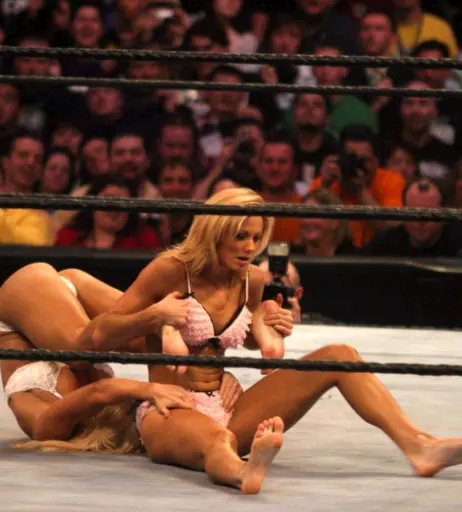 Image 12549590 from WWE Torrie Wilson