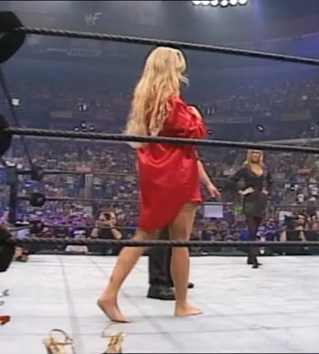 Image 12549596 from WWE Torrie Wilson