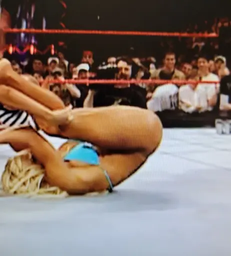 Image 12549582 from WWE Torrie Wilson