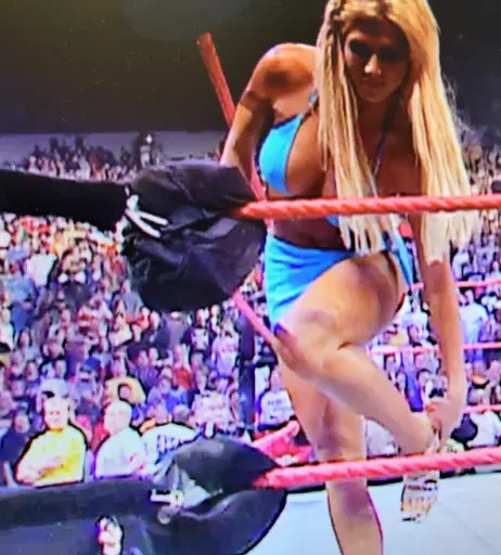 Image 12549573 from WWE Torrie Wilson