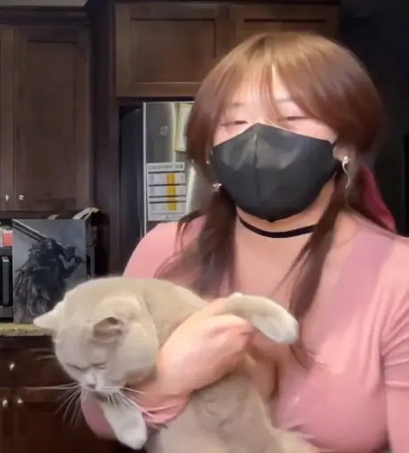 Image 12549348 from Bao | Baovtuber | hoejousama