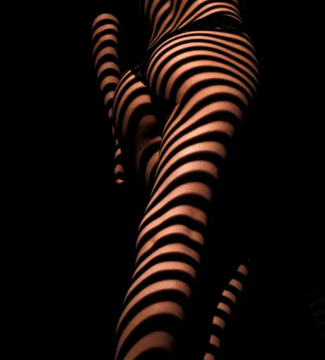 Image 12515280 from Alison Cossenet