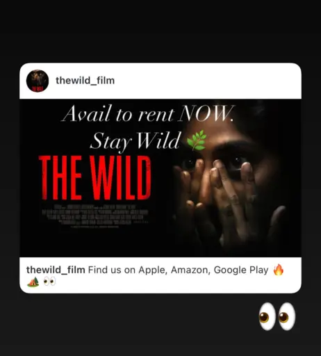 Image 12517286 from Kate Easton