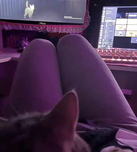 Image 12516522 from inislein