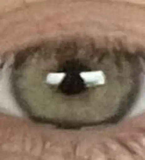 Image 12516512 from inislein