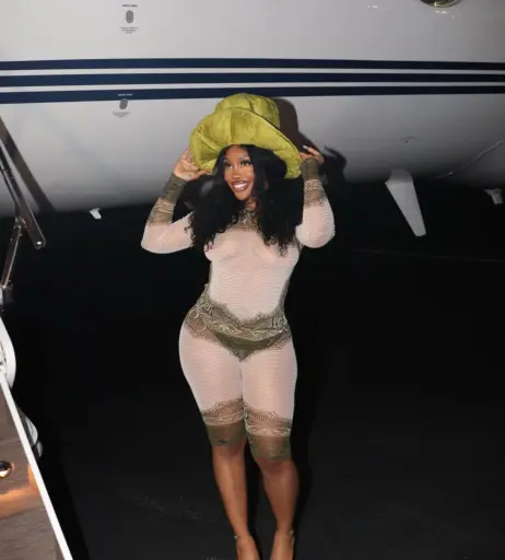 Image 12516766 from SZA | Solana Rowe