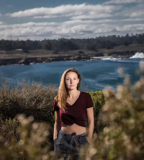 Image 12525193 from Letts React