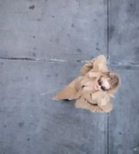 Image 12524522 from Morgan Lily