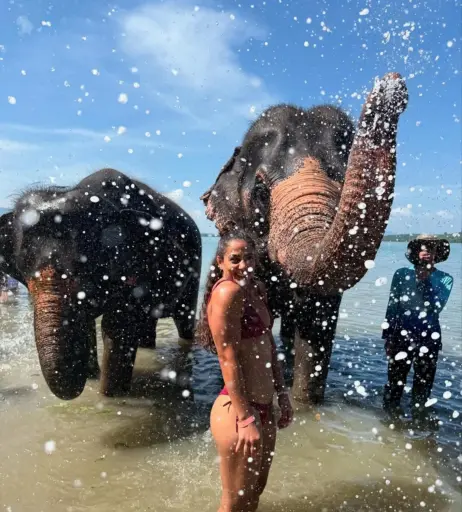 Image 12526919 from Tabatha Ricci