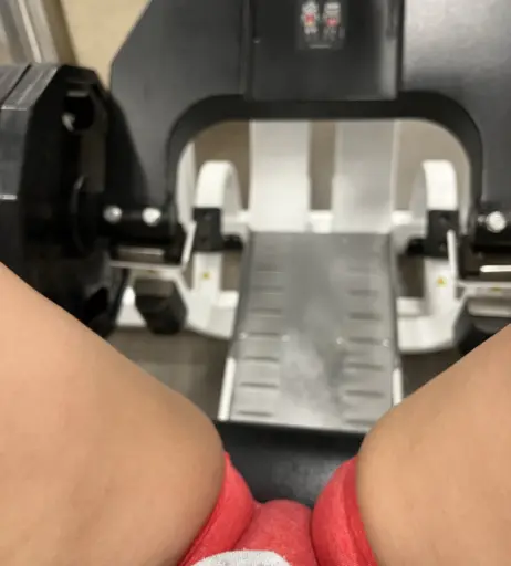 Image 12521895 from Janet Urquidi