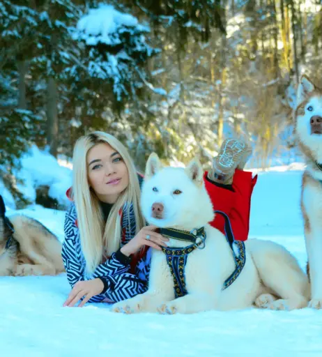 Image 12535383 from Alina Buryachenko