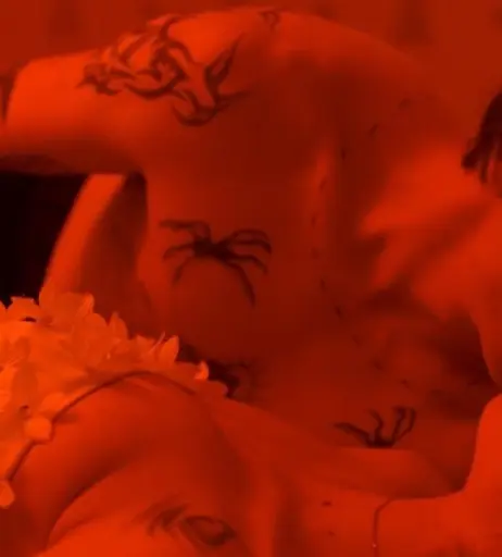 Image 12535346 from Alice Isaaz