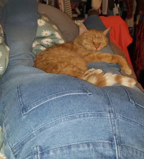 Image 12504701 from QueenTofu