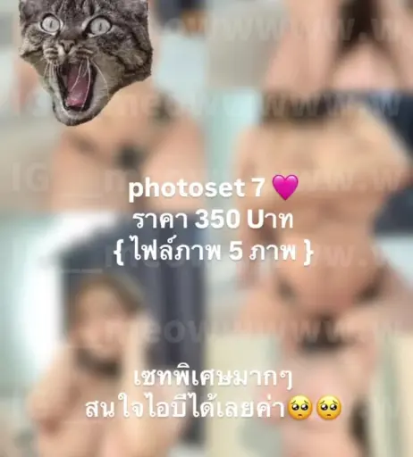 Image 12596756 from meowmint0 | ___meowwwww.w | mo_meowwwww.w