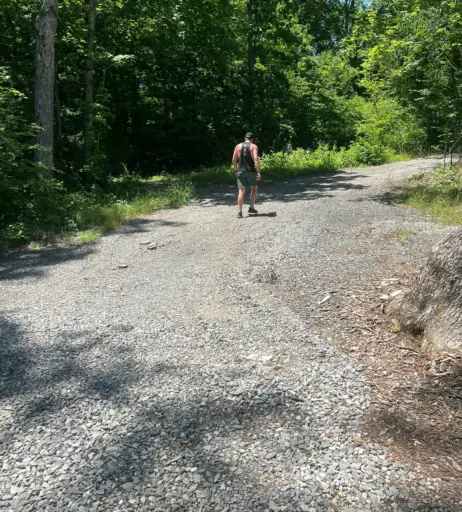 Image 12593795 from Bryce Adams / fitbryceadams