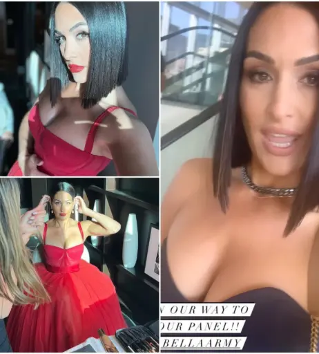 Image 12593633 from The Bella Twins: Nikki Bella &amp; Brie Bella | Garcia Twins